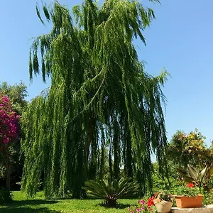 https://la-casa-dei-sogni.sicilyhotelsitaly.net